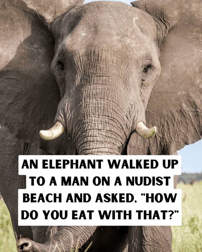 Dirty Jokes + Stock Images = A Fun Time
