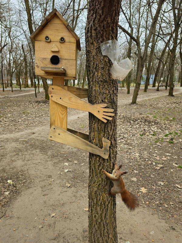 Daily Picdump