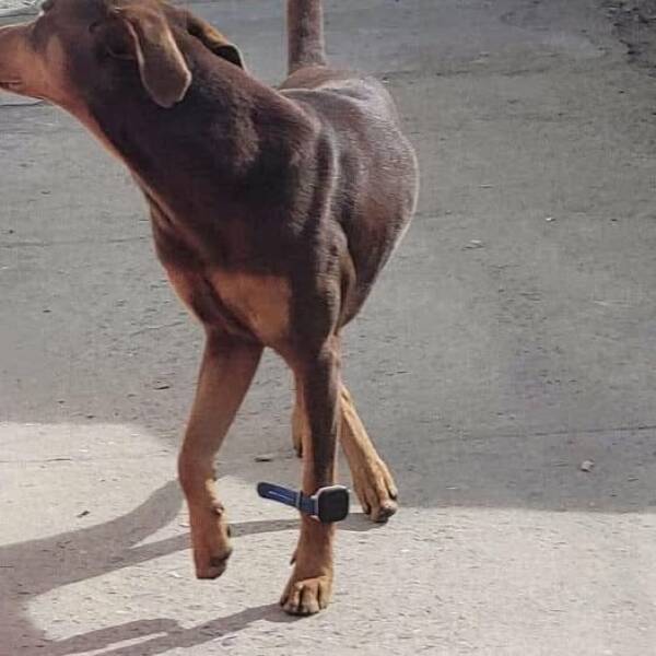 Daily Picdump