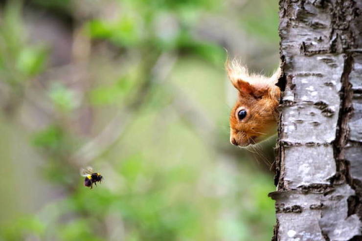 Daily Picdump