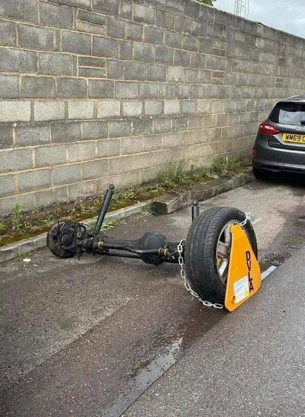 Daily Picdump