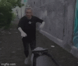 Daily Gifdump