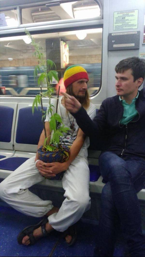 Daily Picdump