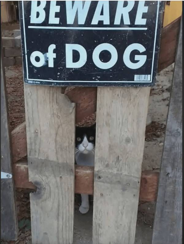 Daily Picdump