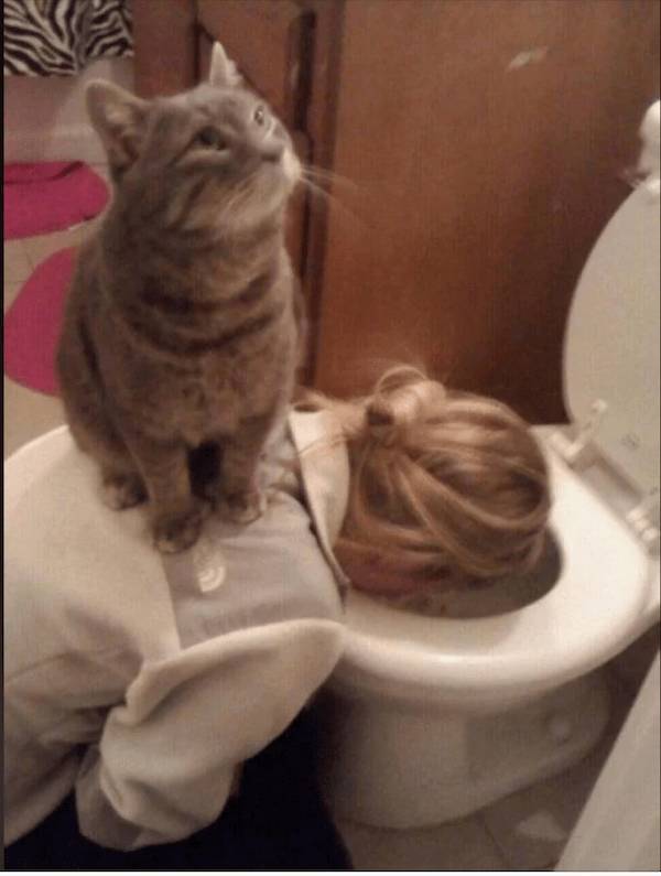 Daily Picdump