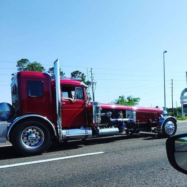 Daily Picdump