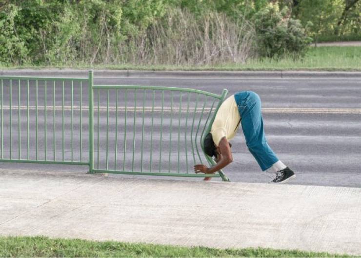 Daily Picdump