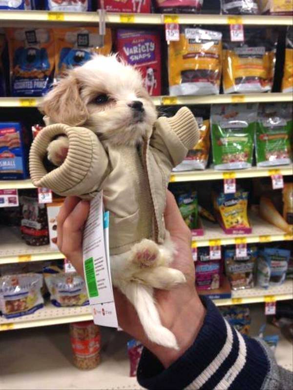 Daily Picdump