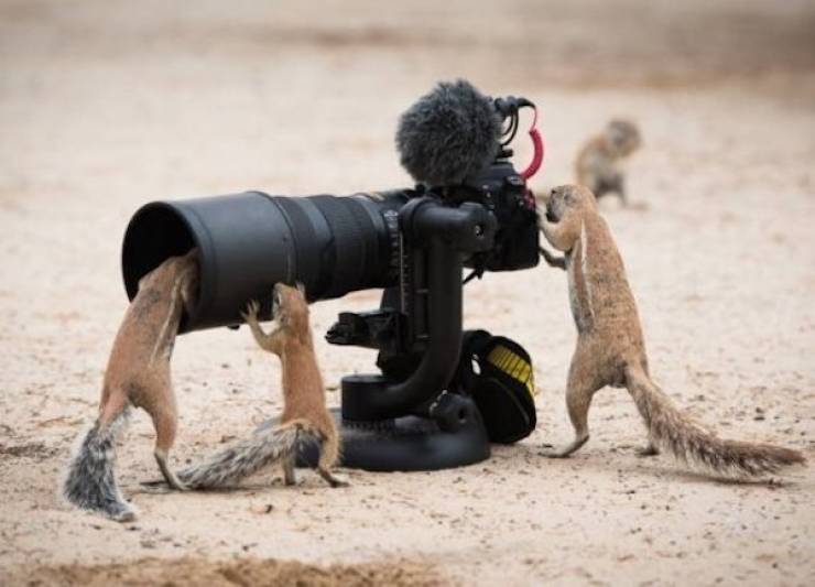 Daily Picdump