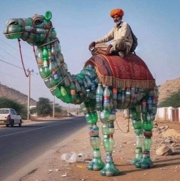 Daily Picdump