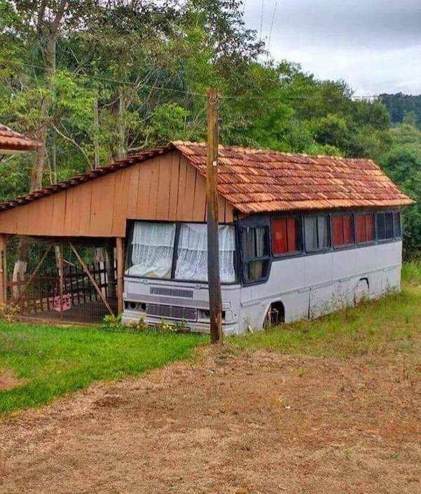 Daily Picdump