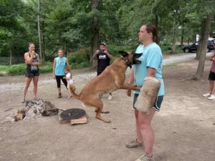 Daily Picdump