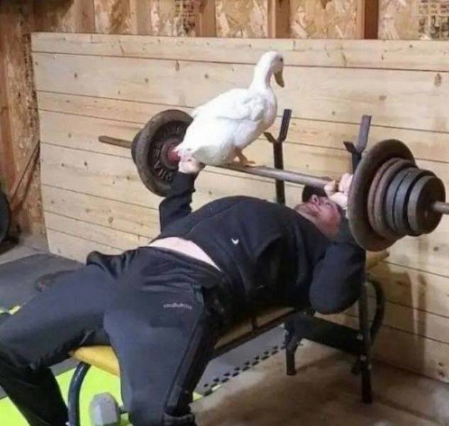 Daily Picdump
