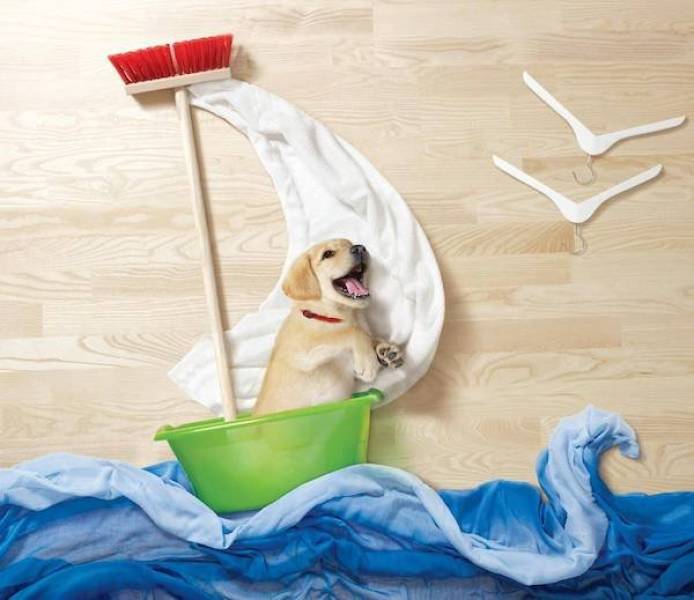 Daily Picdump