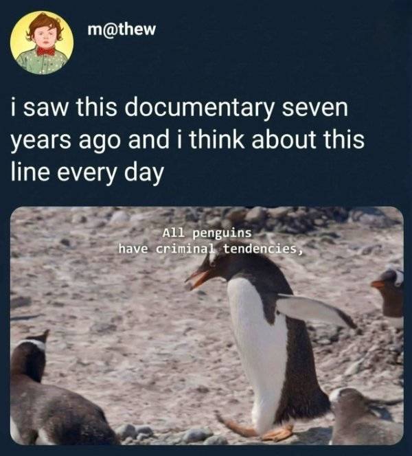 So Dank It Should Be Illegal