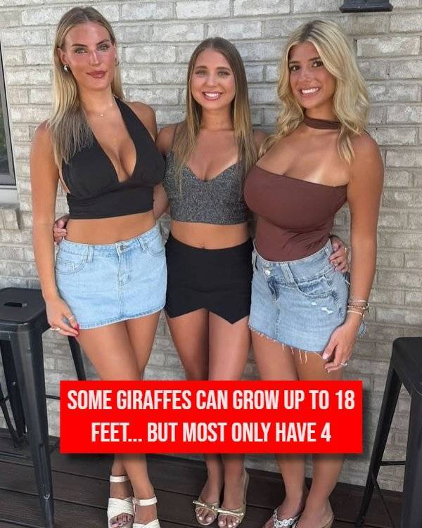 Girls, Give Us Your Best Jokes