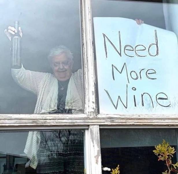 Daily Picdump