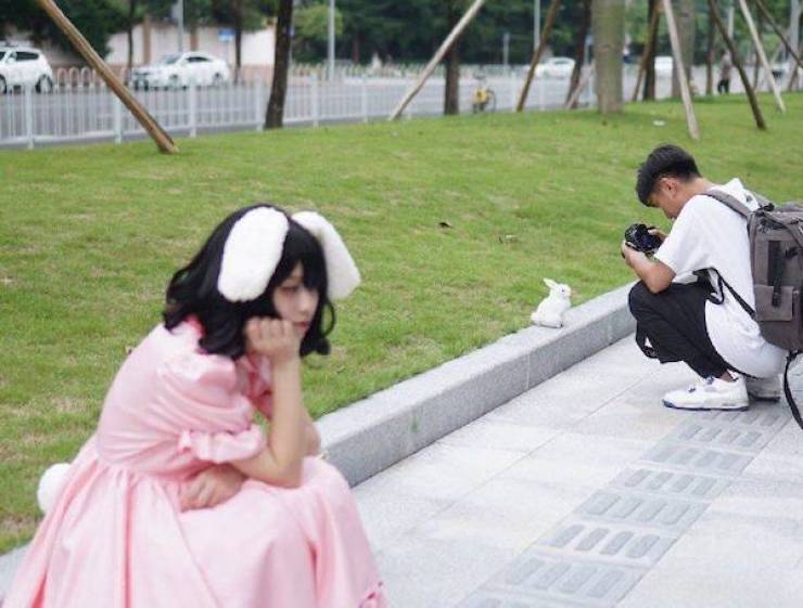 Daily Picdump