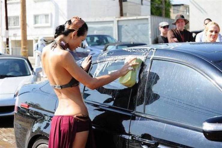 Daily Picdump