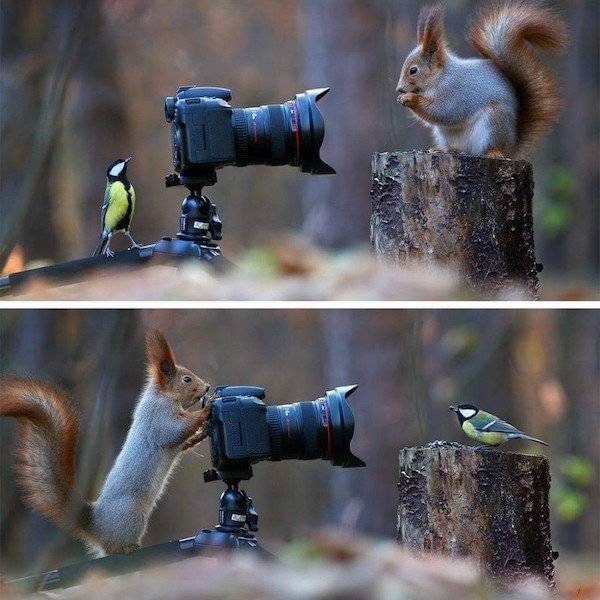 Daily Picdump