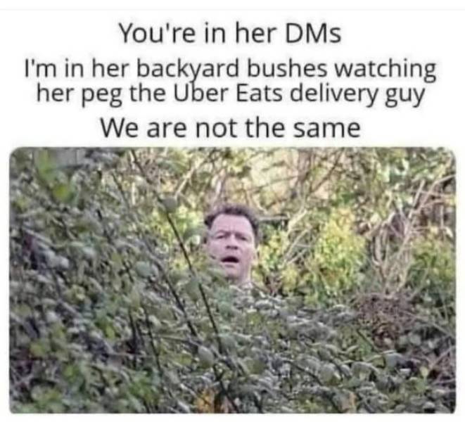 Pure, Unfiltered Dank Memes