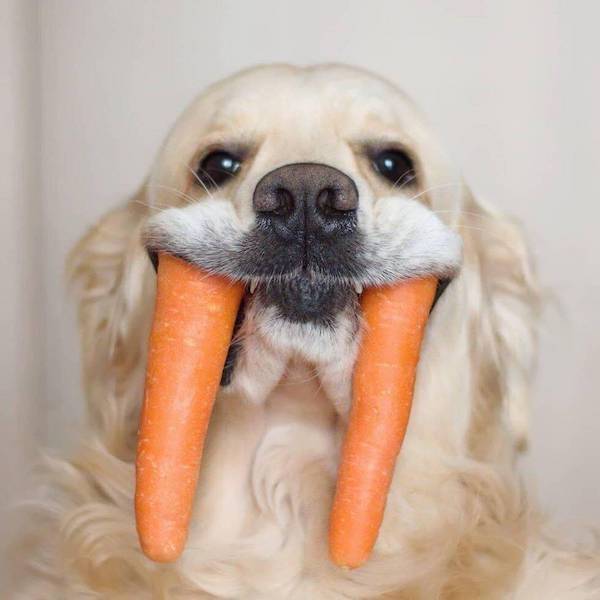 Daily Picdump