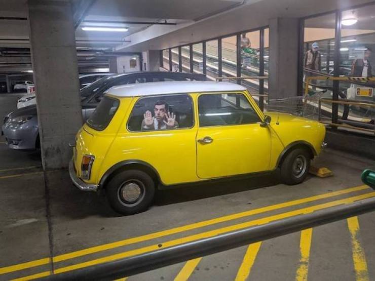 Daily Picdump
