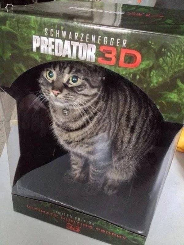 Daily Picdump