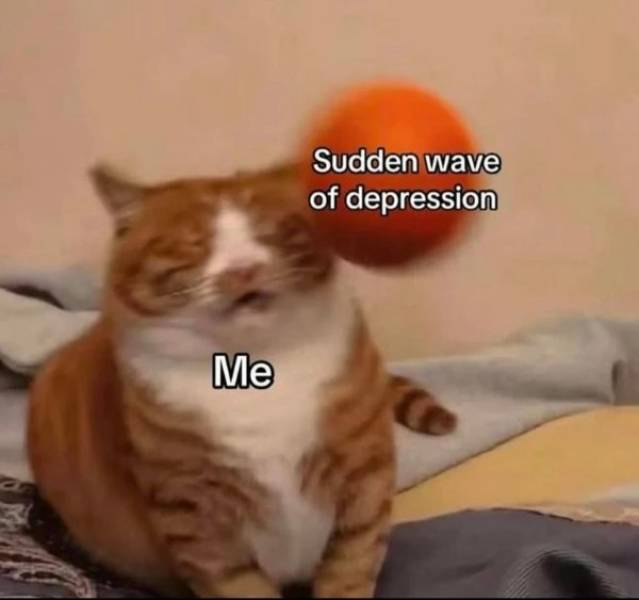 Prescribed Daily Dose of Dank Memes