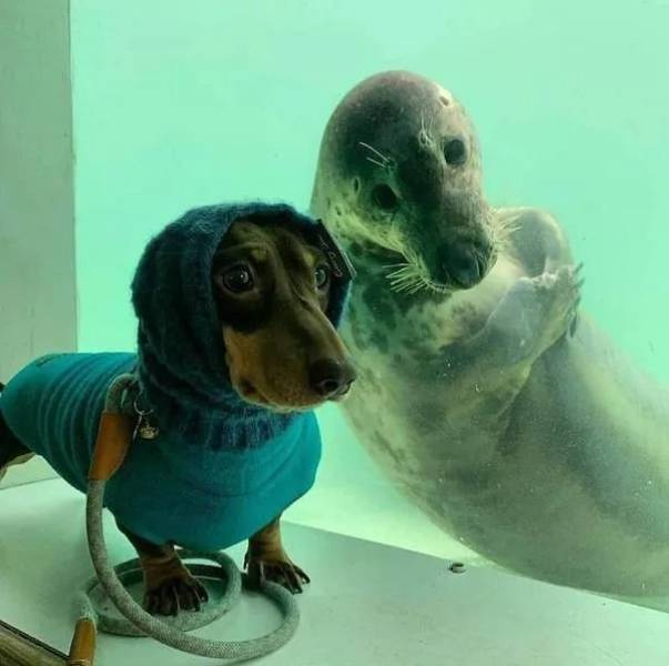 Daily Picdump