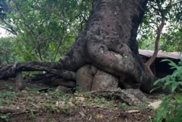 Dirty Dump For Dirty Minds