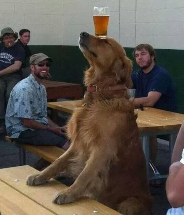 Cheers Everyone!