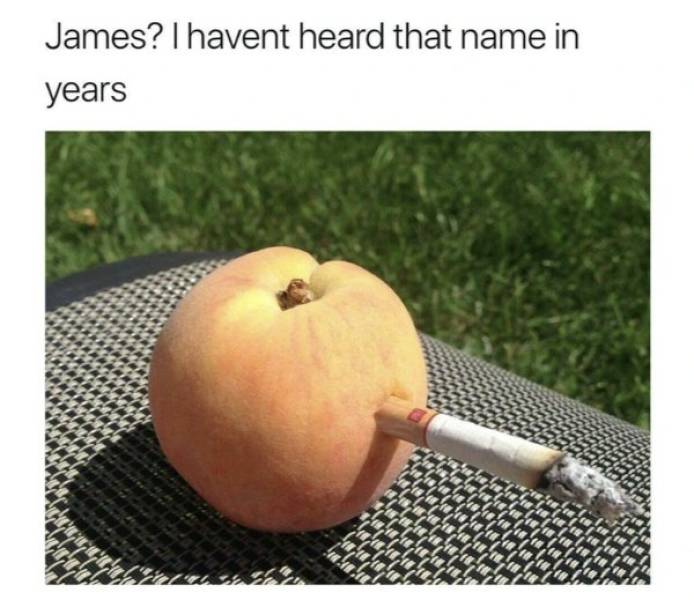 Pure, Unfiltered Dank Memes