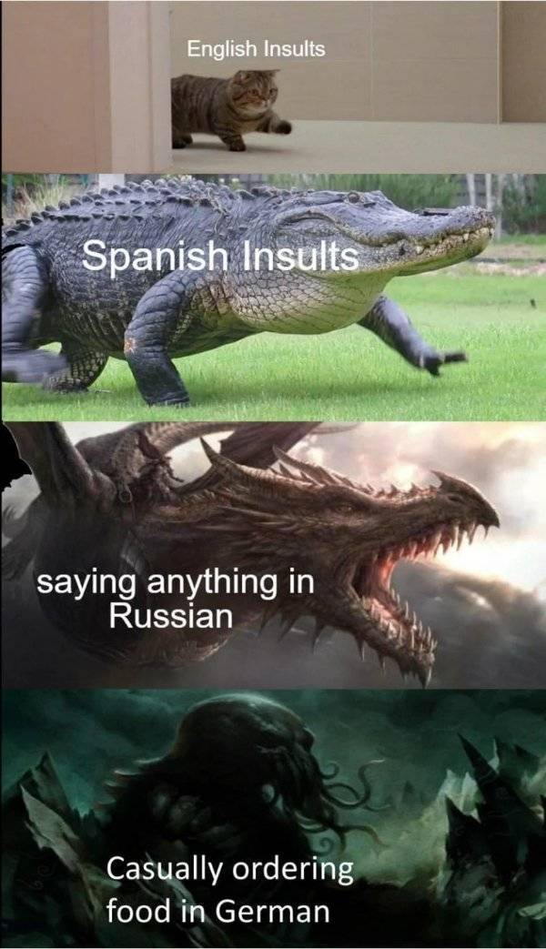 Pure, Unfiltered Dank Memes