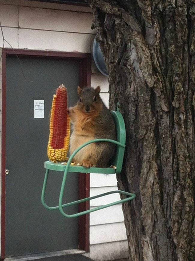Daily Picdump