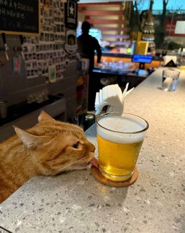 Cheers Everyone!