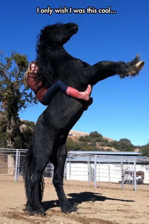 Girls Who Love Horses