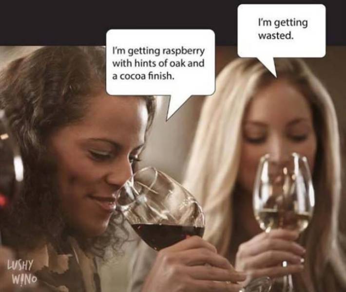 Girls Mix So Well with Alcohol