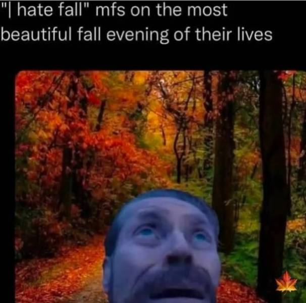So Dank It Should Be Illegal
