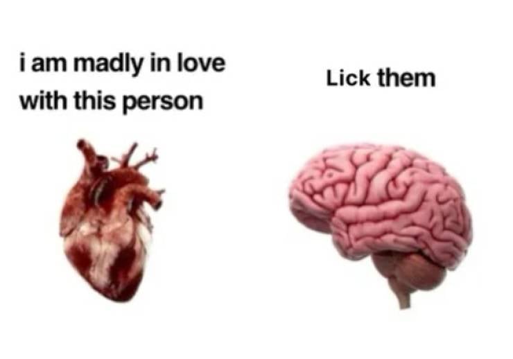 NSFW Memes To Add Some Spice To Your Life