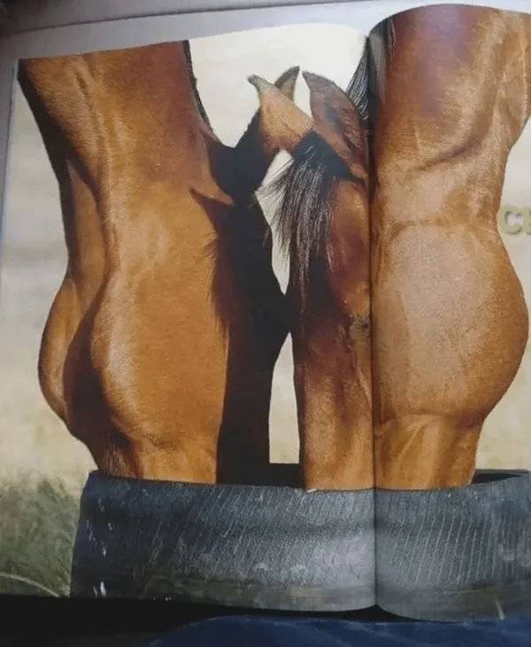 NSFW Memes To Add Some Spice To Your Life