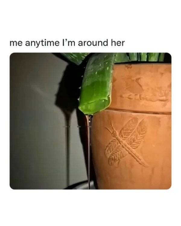 NSFW Memes To Add Some Spice To Your Life