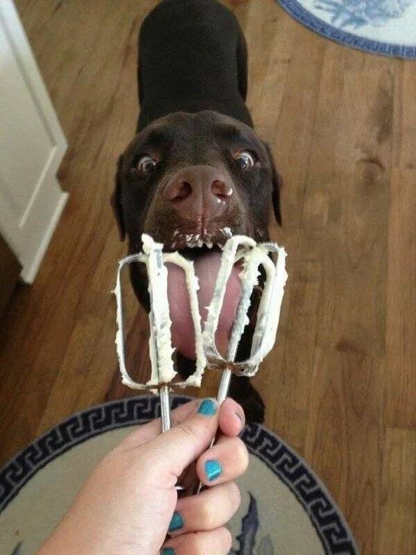 Daily Picdump