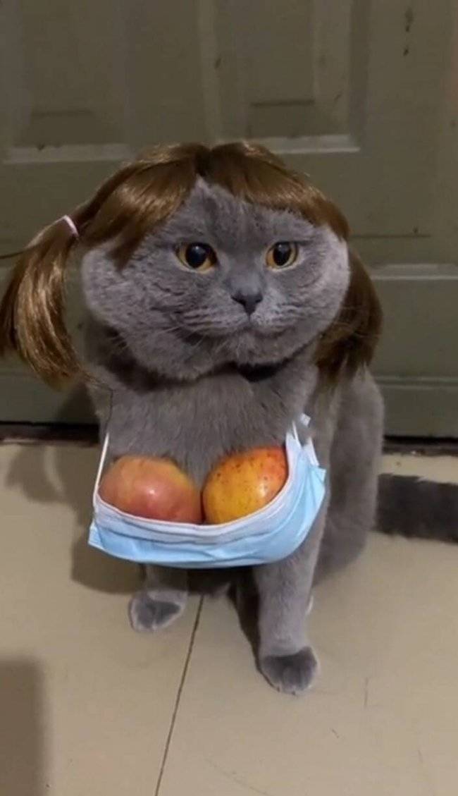 Daily Picdump