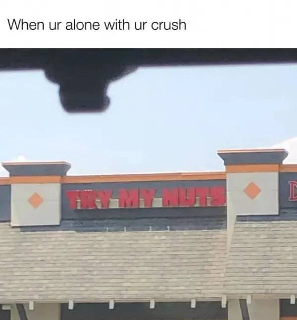 Dirty Dump For Dirty Minds