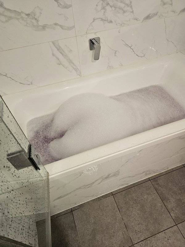 Dirty Dump For Dirty Minds