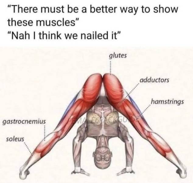NSFW Memes To Add Some Spice To Your Life