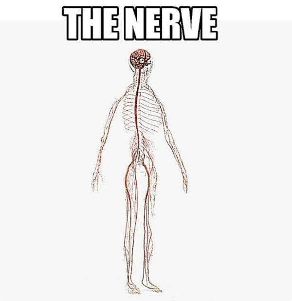 NSFW Memes To Add Some Spice To Your Life