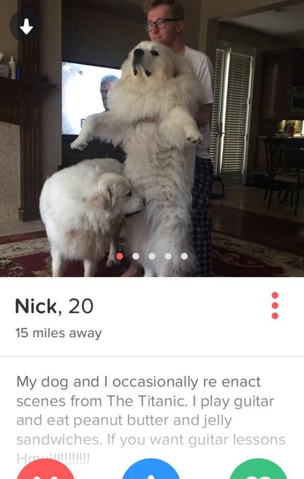 Why Are These Tinder Profiles Even A Thing?!