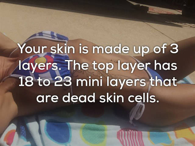 Is Everything Of This Really About Our Skin?!
